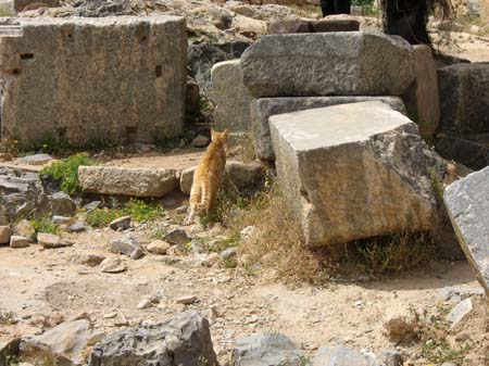 rhodes_011